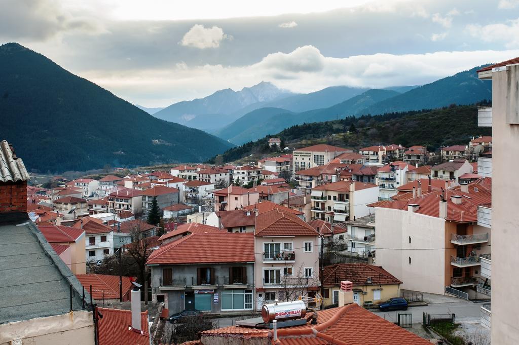 Galini Hotel Karpenisi Номер фото